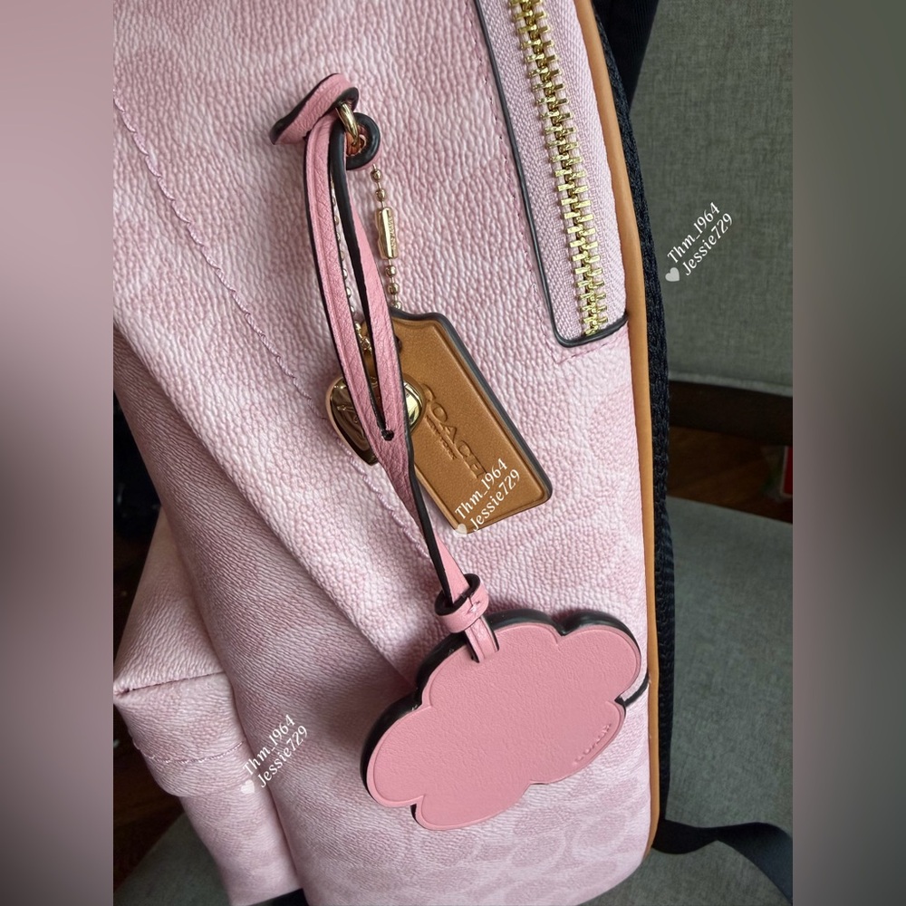 NWT！COACH Taylor Small Backpack In Signature With Charms（CEF46）fast shipping - Picture 6 of 13